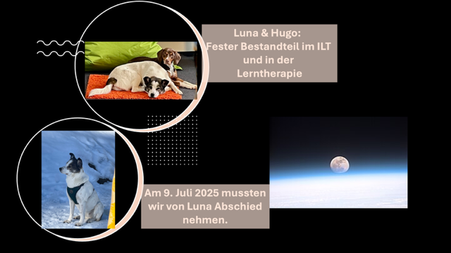 LUNA 2025